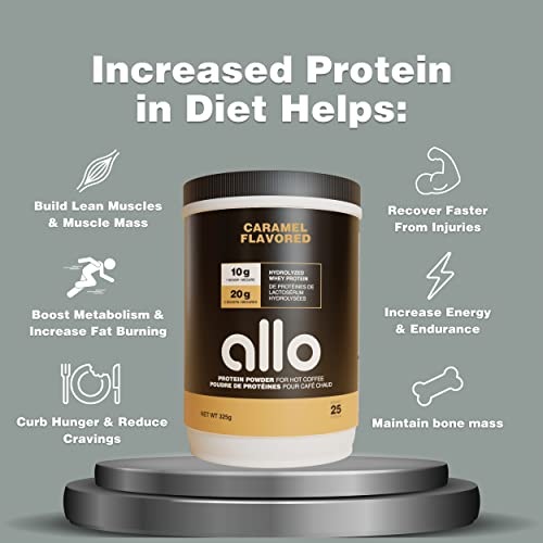 Allo Mocha High Protein Powder Coffee Creamer for Hot & Cold Coffee, Tea, Chocolate, Drinks | Low Carb, Gluten-Free, Clump-Free, Sugar-Free | 20 Grams of Hydrolyzed Whey Protein Powder | 500g (2 Pack)