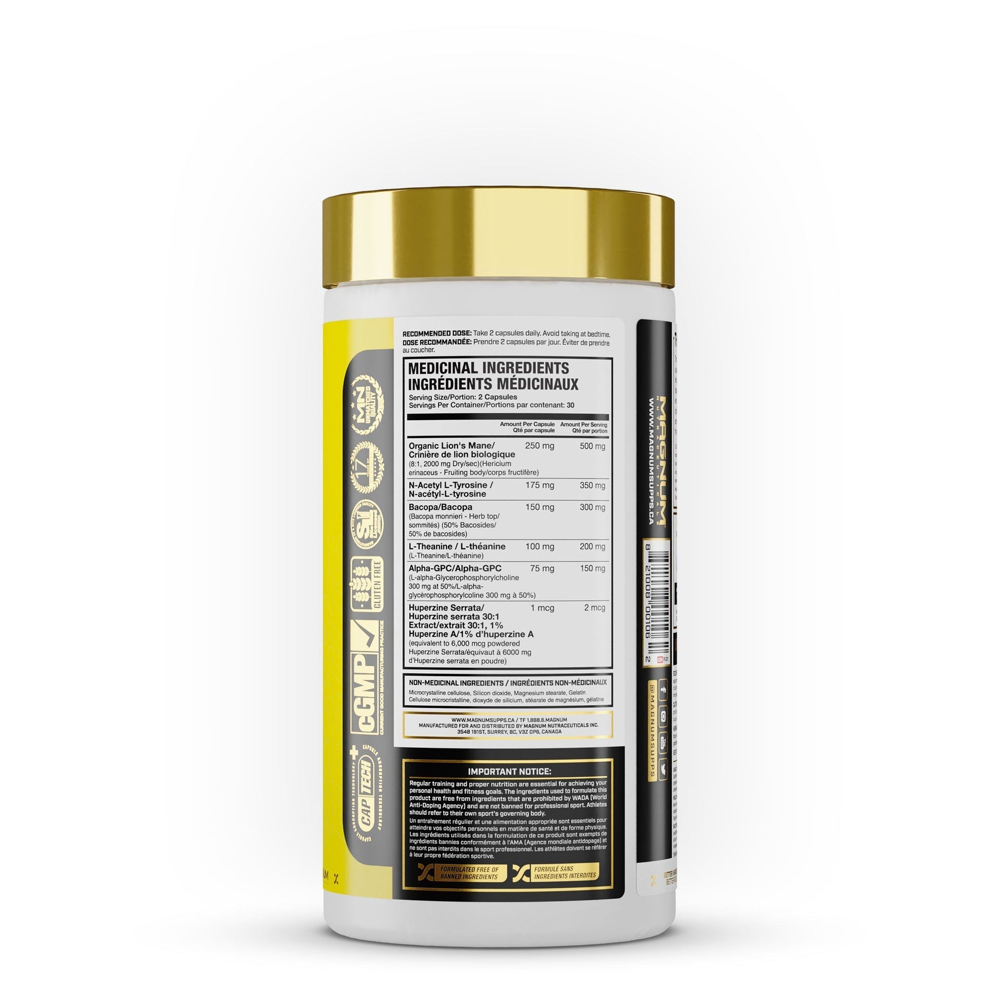 MAGNUM MANE BRAIN (CAD) - Magnum Worldwide