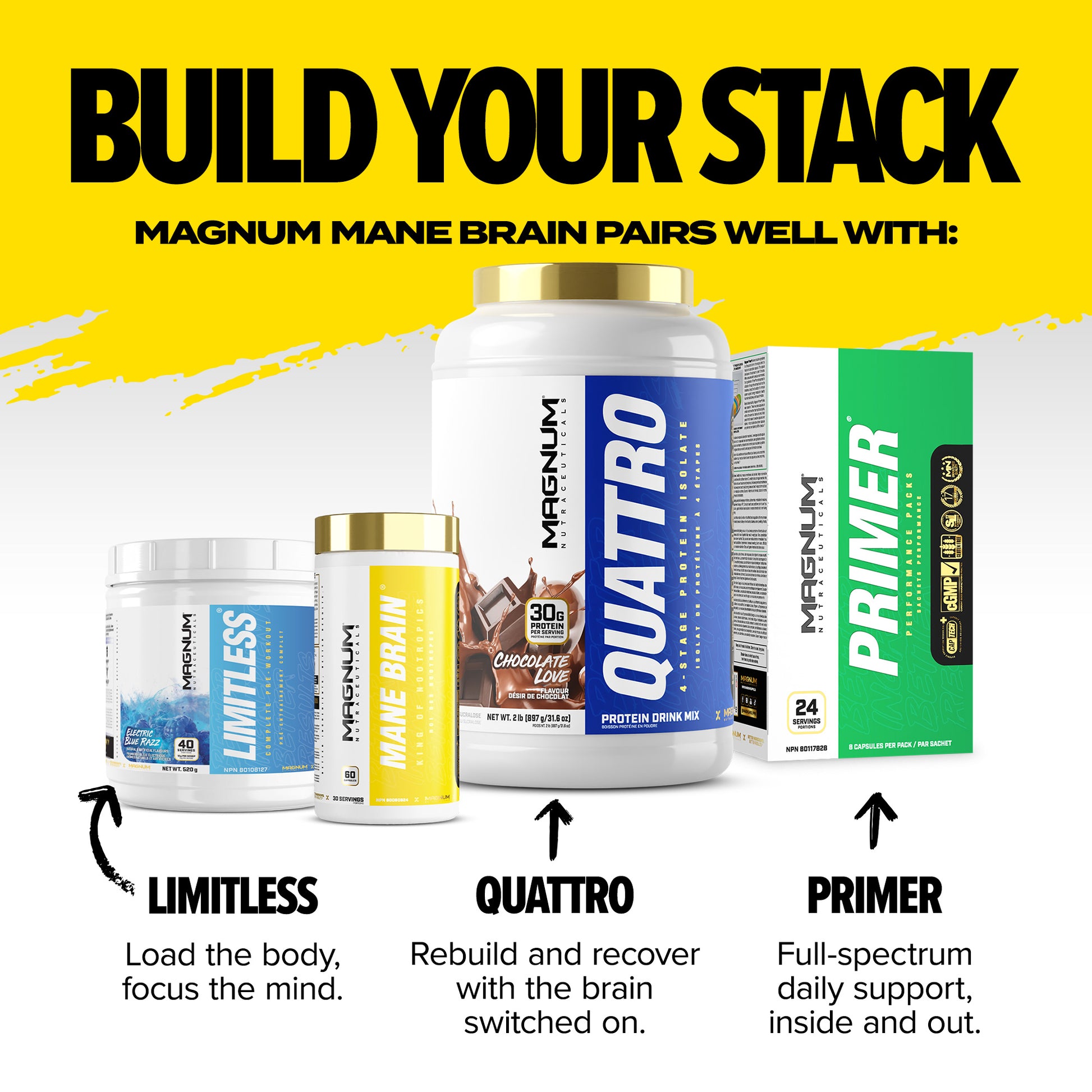 MAGNUM MANE BRAIN (CAD) - Magnum Worldwide