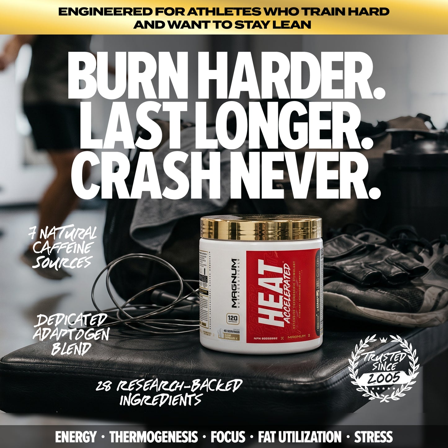 MAGNUM HEAT ACCELERATED (CAD)