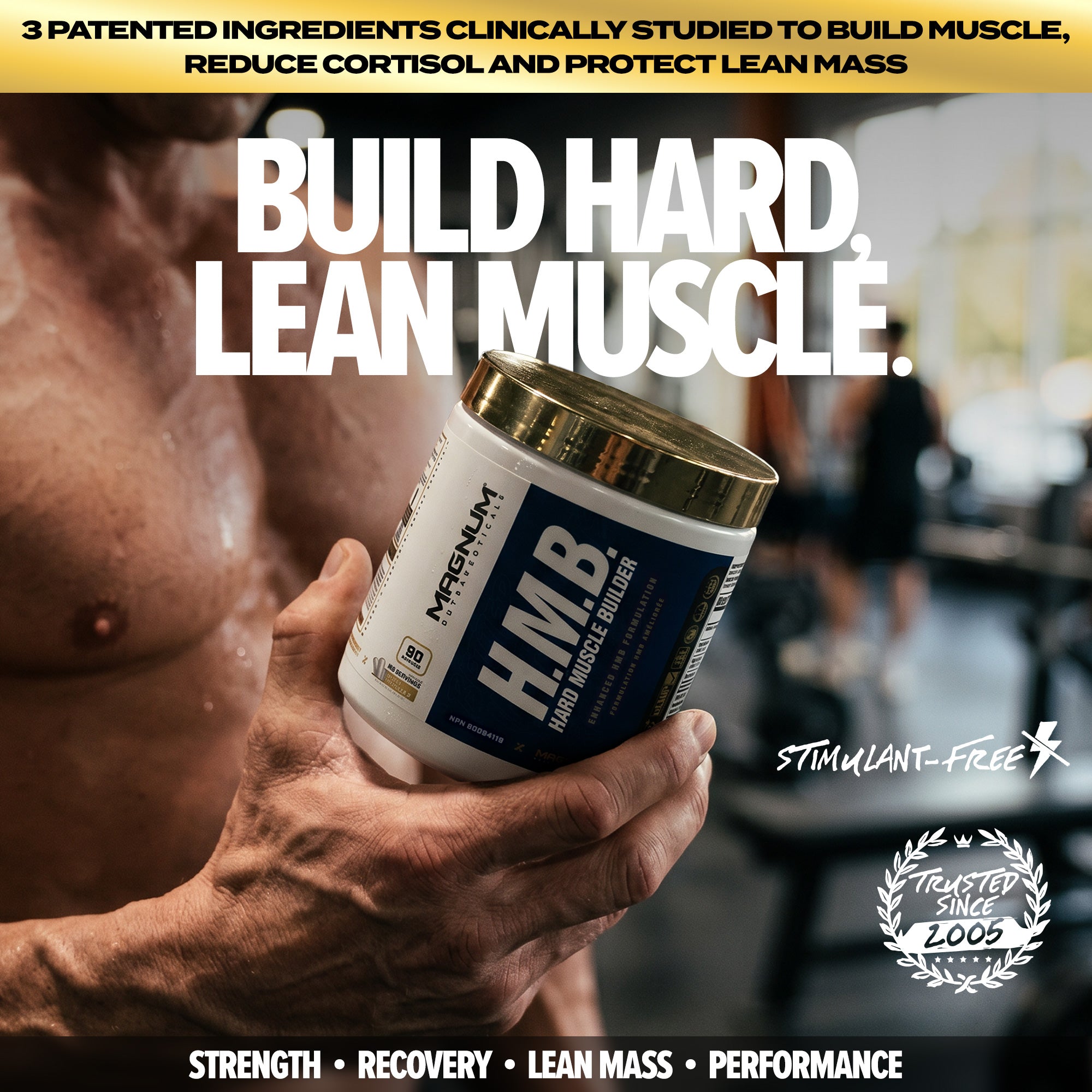 ビルドマッスルHMB MAGNUM HARD MUSCLE BUILDER (CAD)