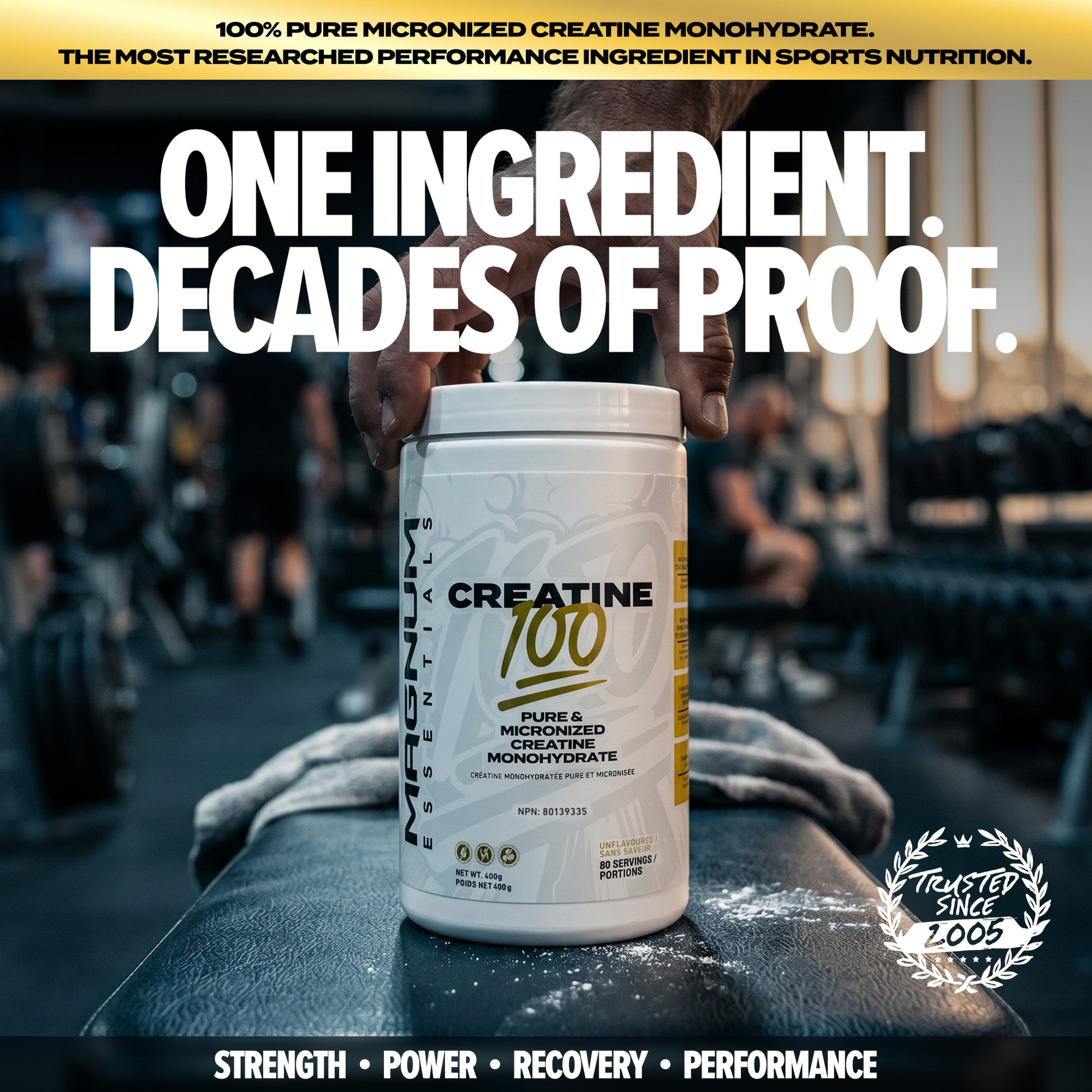 Creatine 100 (CAD) - Magnum Worldwide