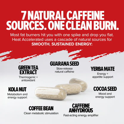 MAGNUM HEAT ACCELERATED (CAD)
