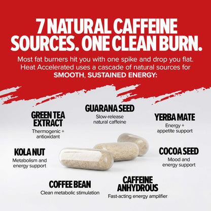 MAGNUM HEAT ACCELERATED