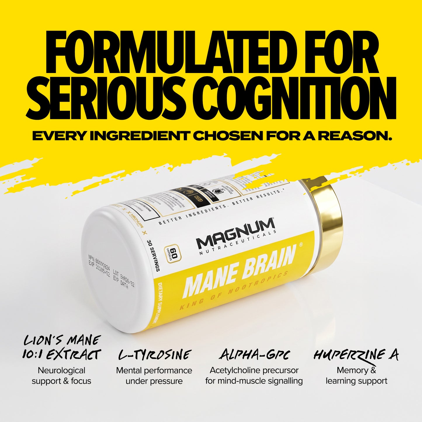 MAGNUM MANE BRAIN (CAD) - Magnum Worldwide