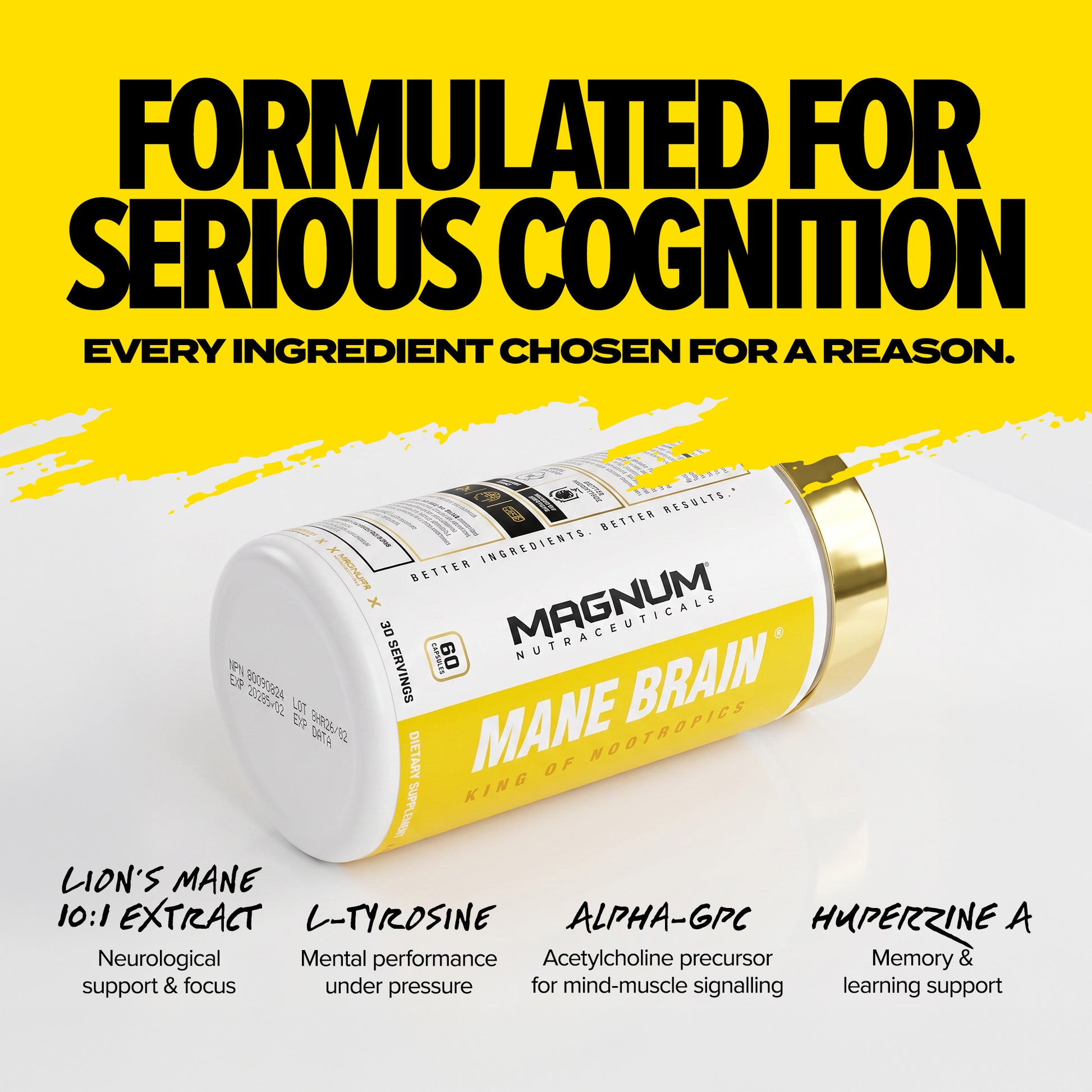 MAGNUM MANE BRAIN (CAD) - Magnum Worldwide