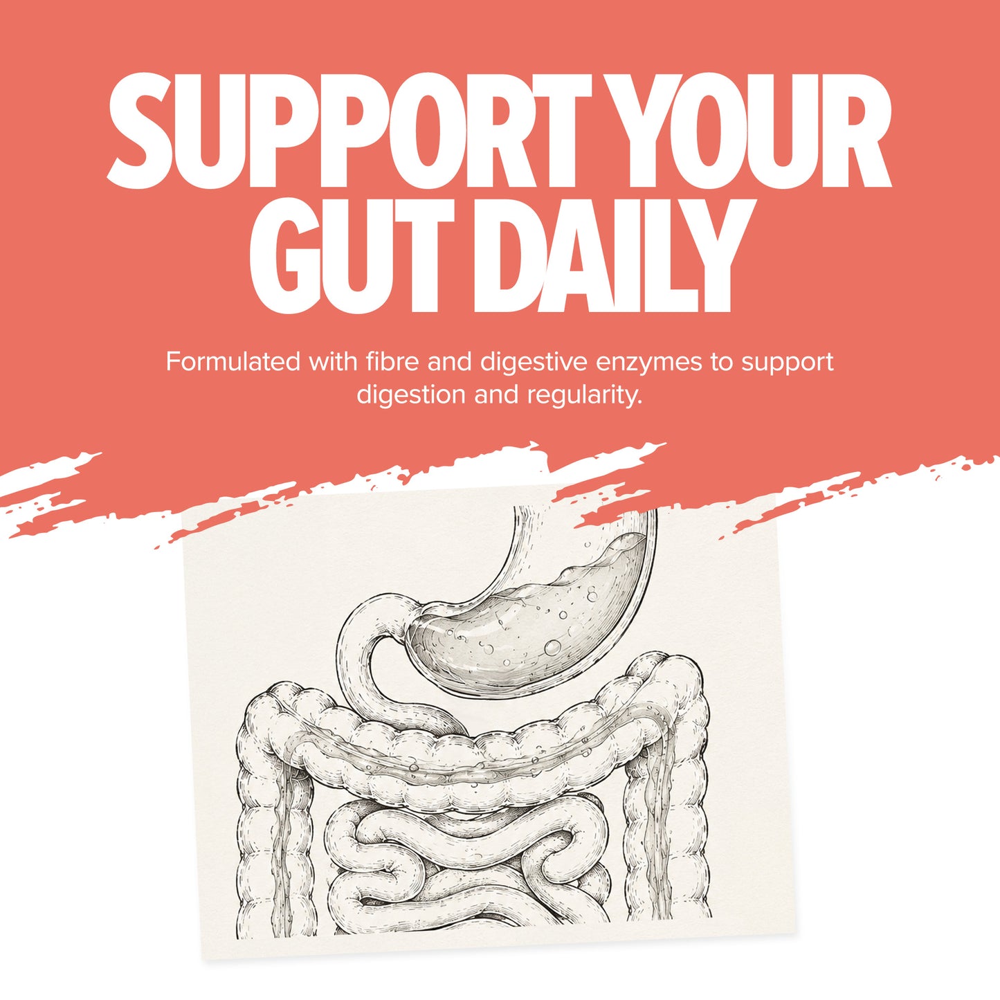 Magnum NEKTR Daily Greens gut health and digestion support graphic