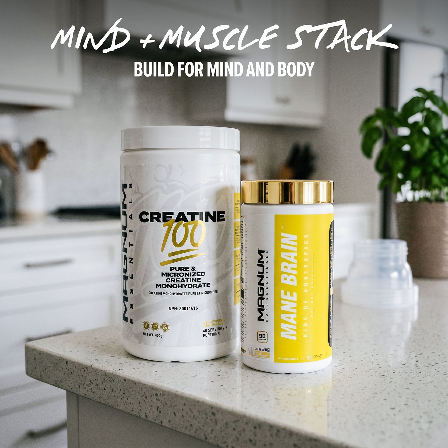 Mind + Muscle Stack - Magnum Worldwide