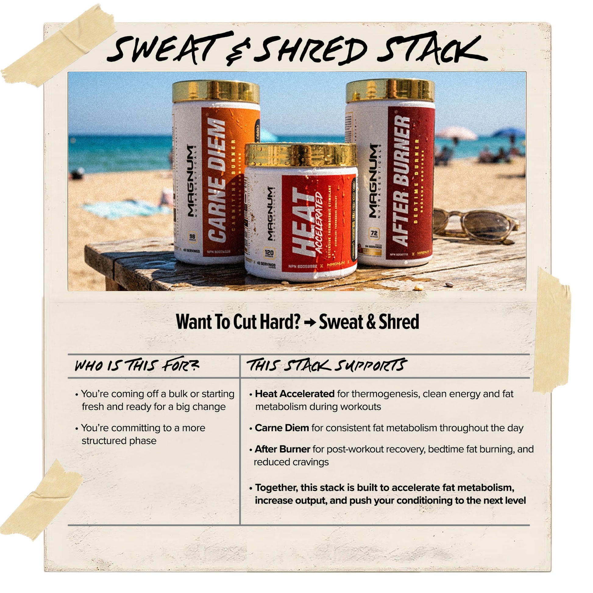 Sweat & Shred Stack (CAD) - Magnum Worldwide