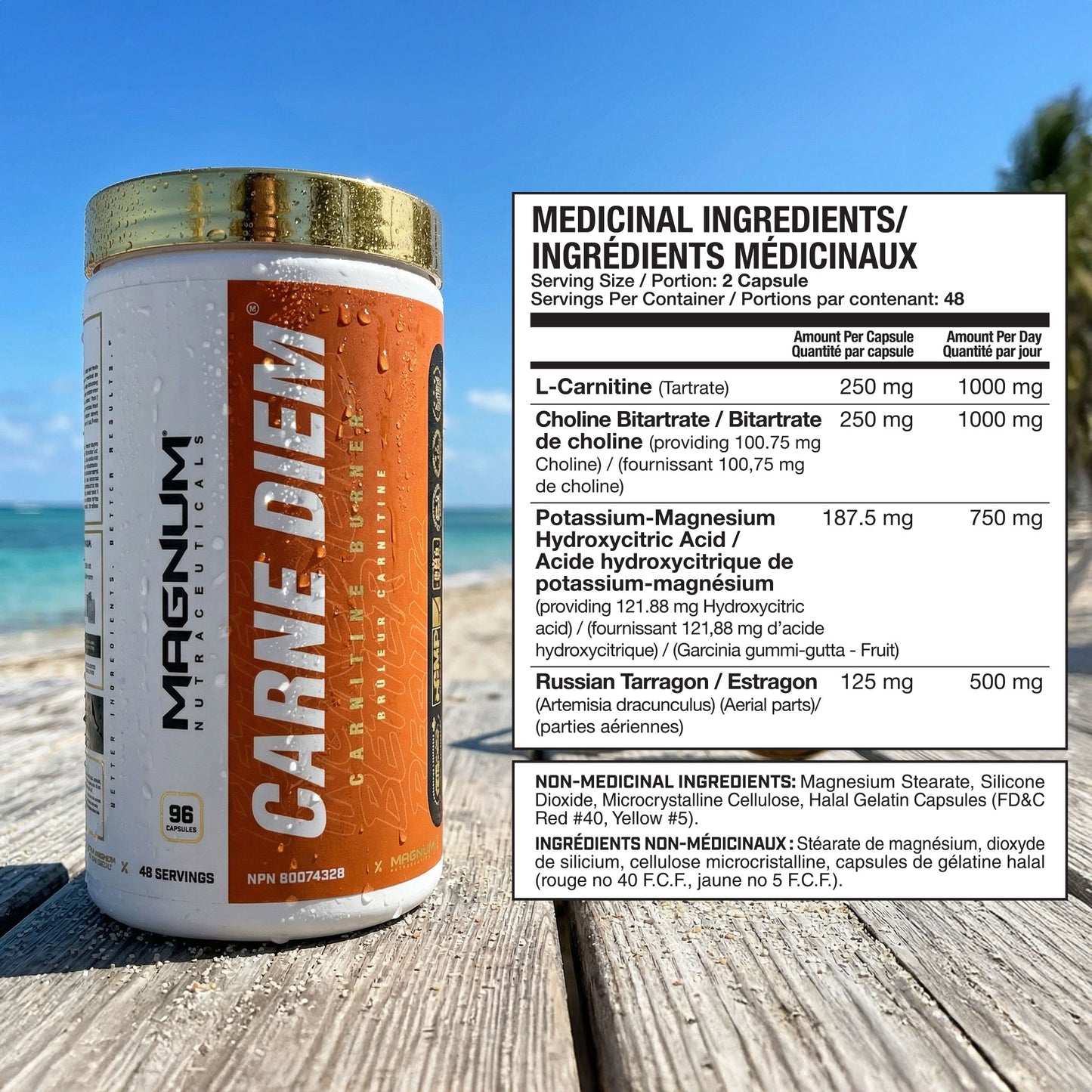 Recomp Reload (CAD) - Magnum Worldwide