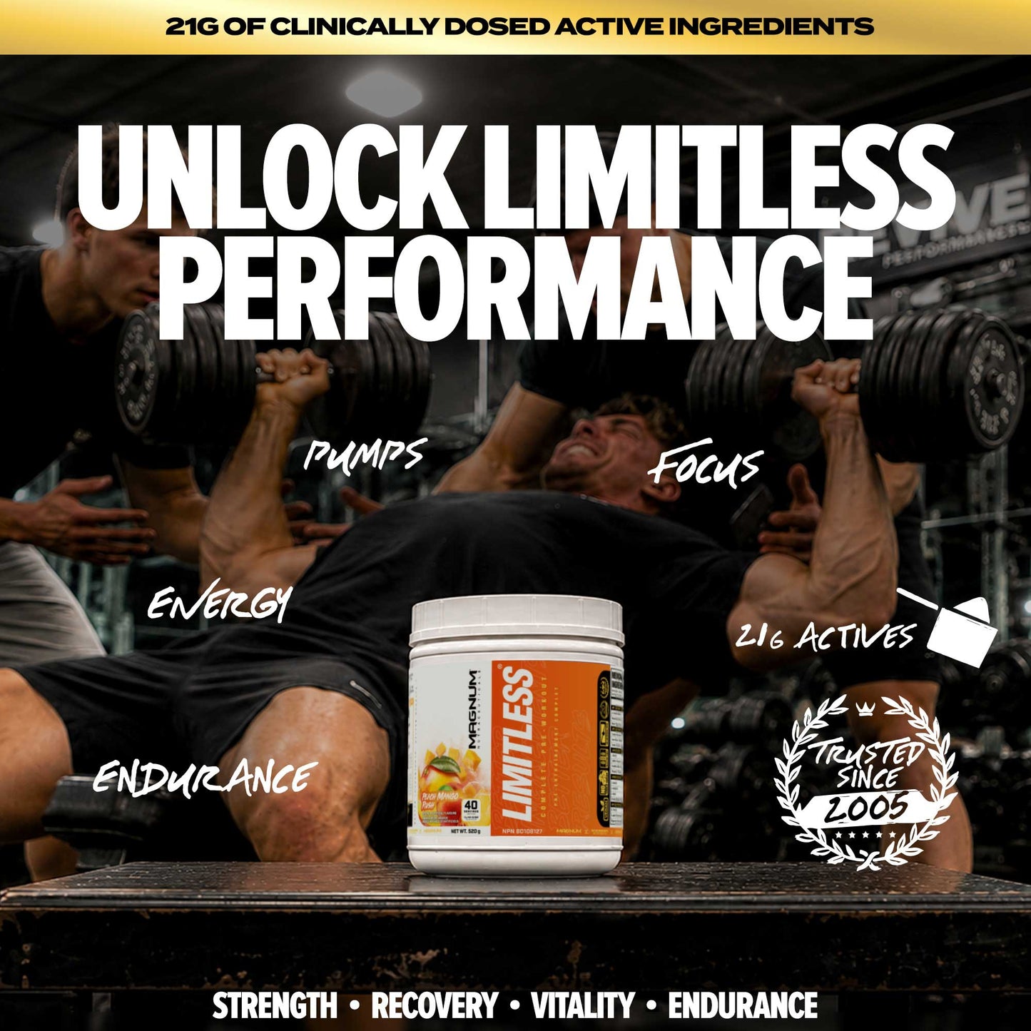 MAGNUM LIMITLESS (CAD)